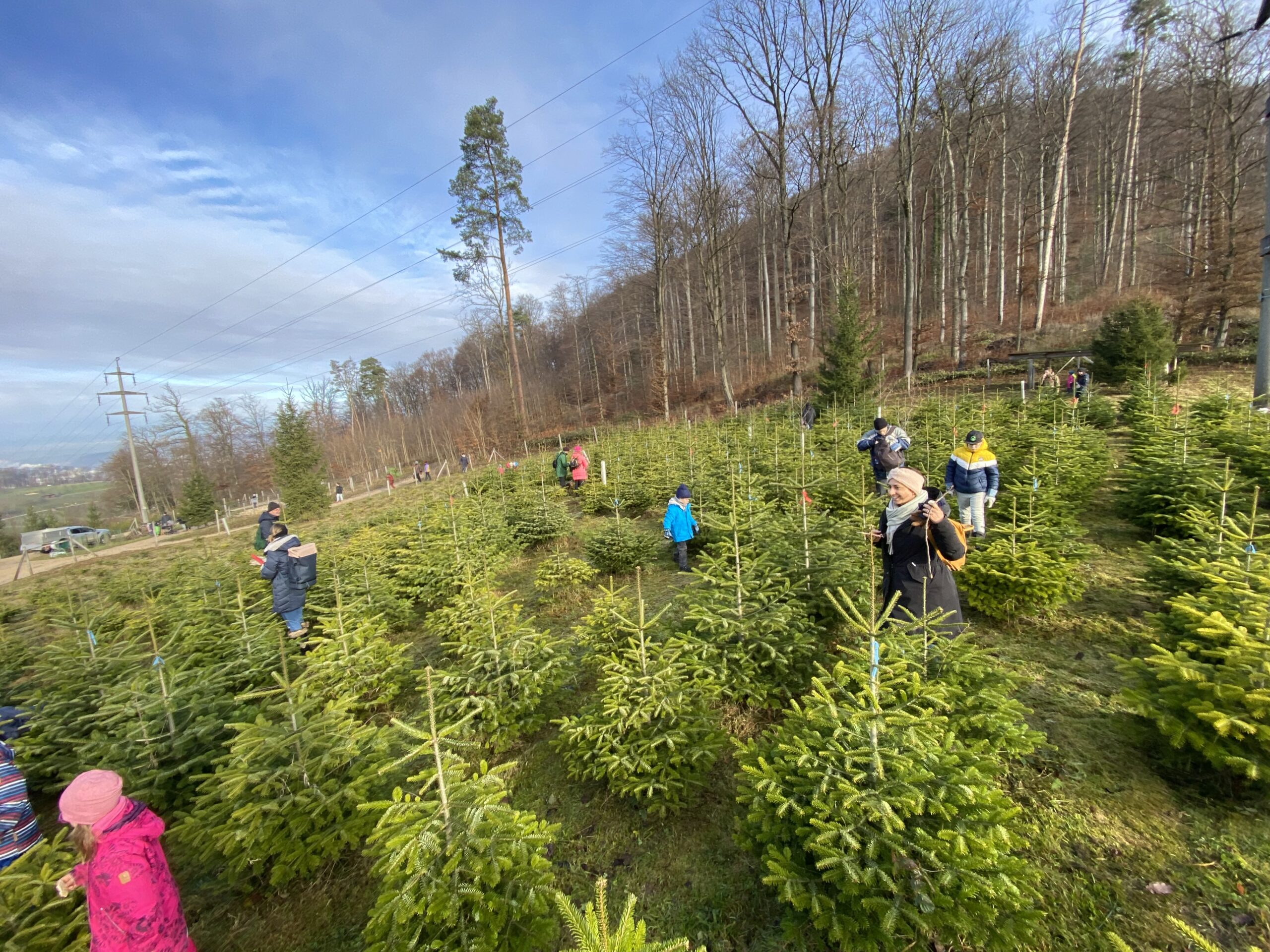 JCI Basel - JCI Family-Day: Weihnachtsabenteuer