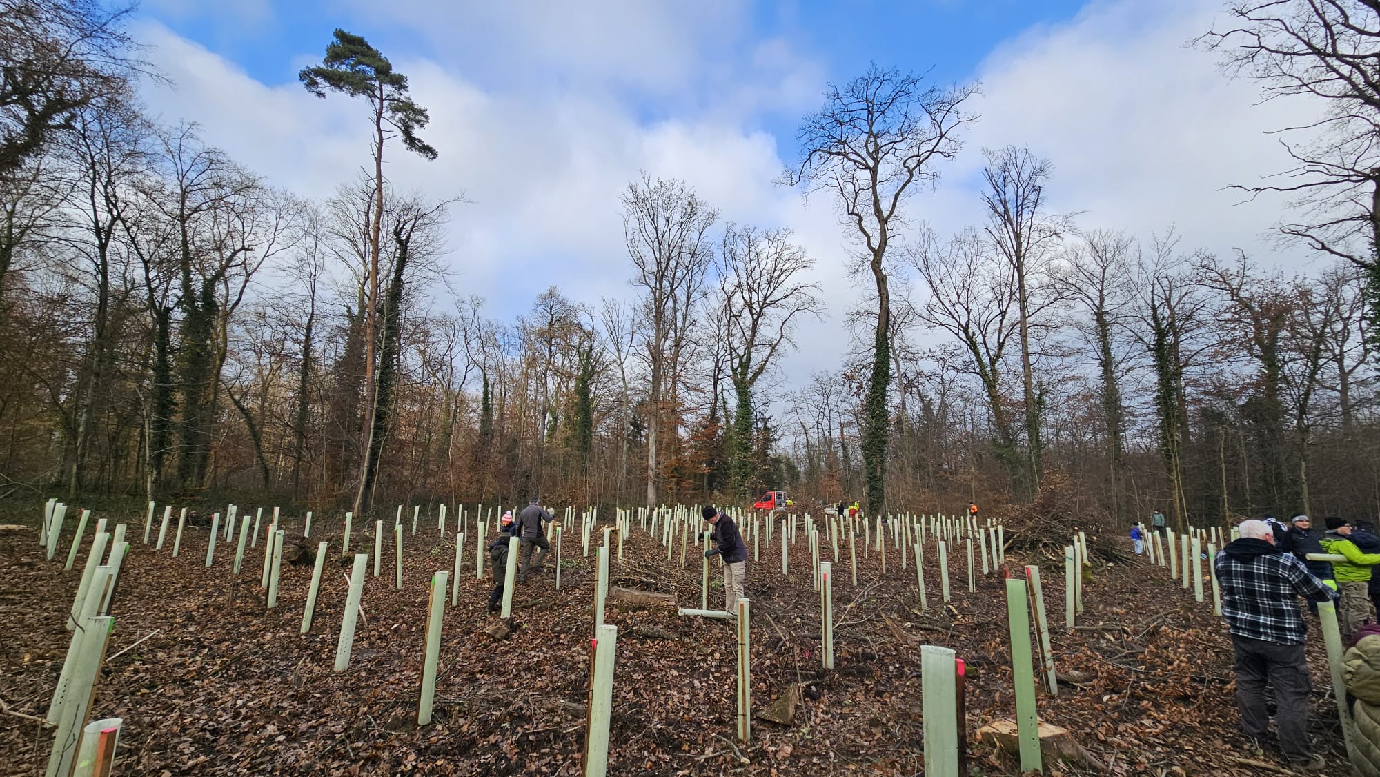 JCI Basel - Familienevent „Baumpflanzaktion – Gemeinsam für unseren Wald“